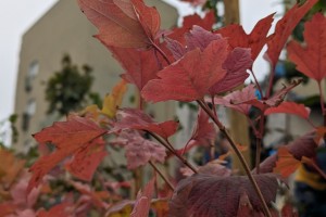 PXL_20231021_092735250