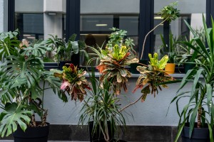 DSC_8711