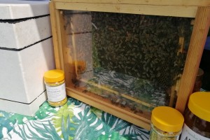 IMG_20240630_115605_Easy-Resize.com