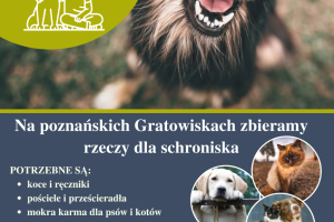 Kopia – Brown Modern Pet Shop Promotion A4 Flyer