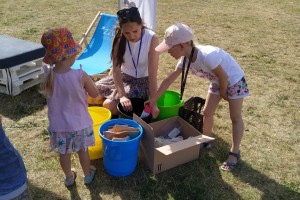 IMG_20220619_162107
