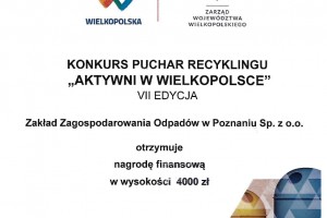Dyplom 19