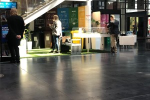 IMG_4617