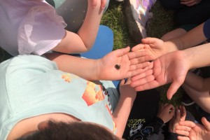 IMG_4802