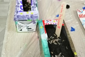 IMG_20230620_102017